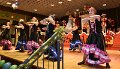 Karneval 2019 285
